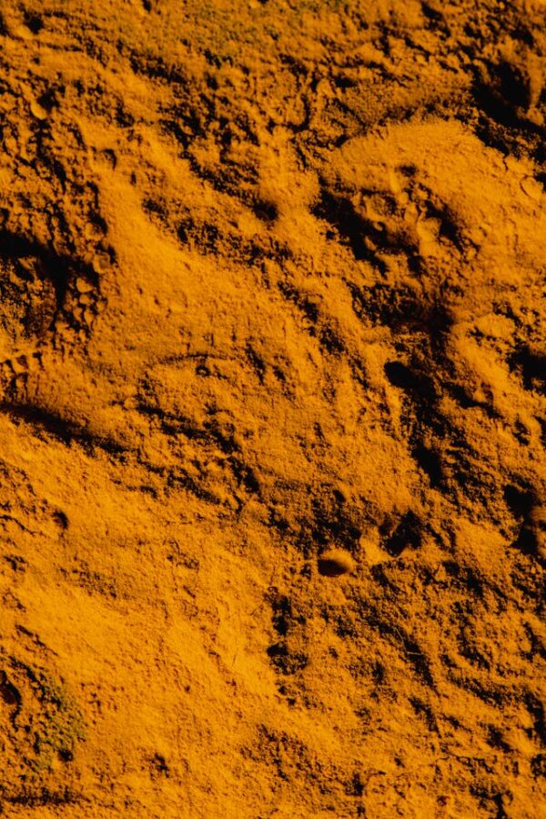 Organic Turmeric