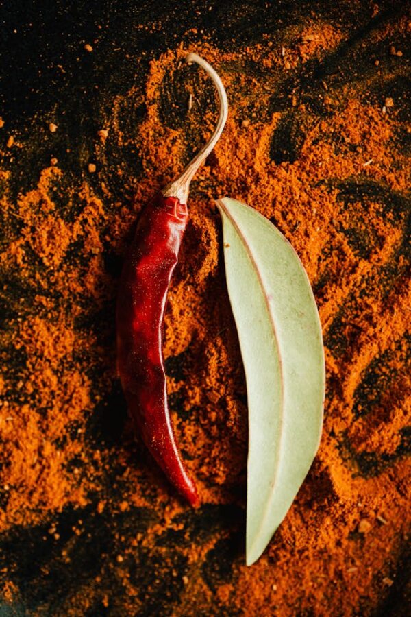 Organic Chili Powder