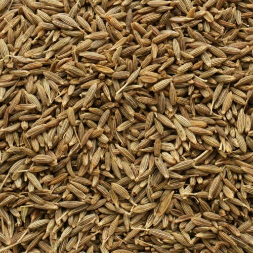 Organic Cumin